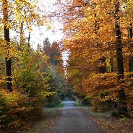 Zum Buchenberg Hotel St. Vith