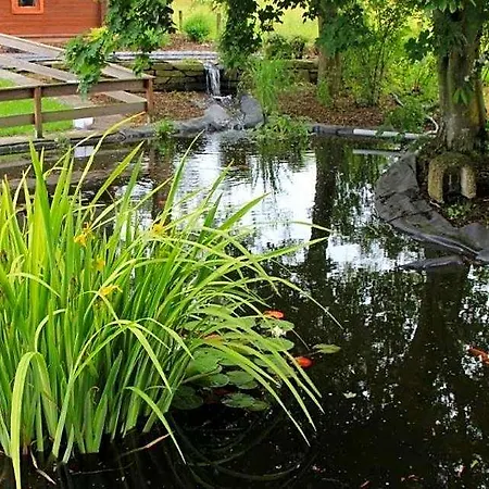 Zum Buchenberg Hotel St. Vith